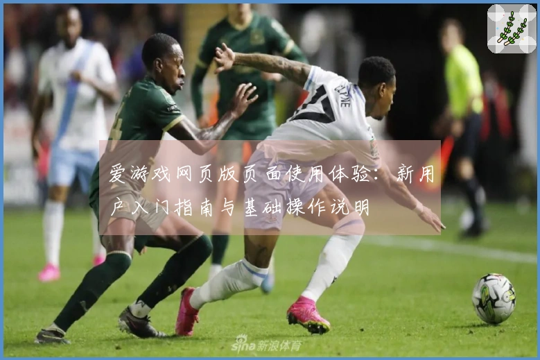 爱游戏网页版页面使用体验：新用户入门指南与基础操作说明